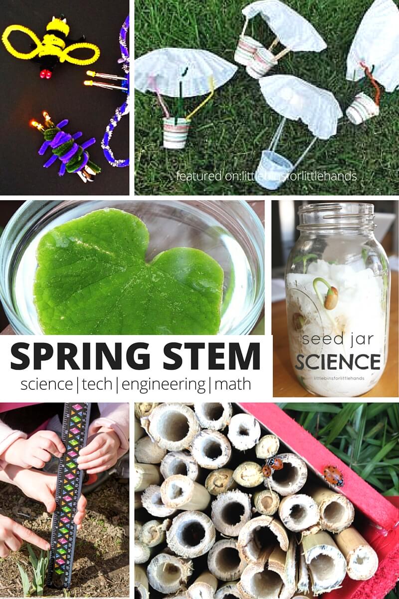 Get 85 Spring Science Worksheet 53