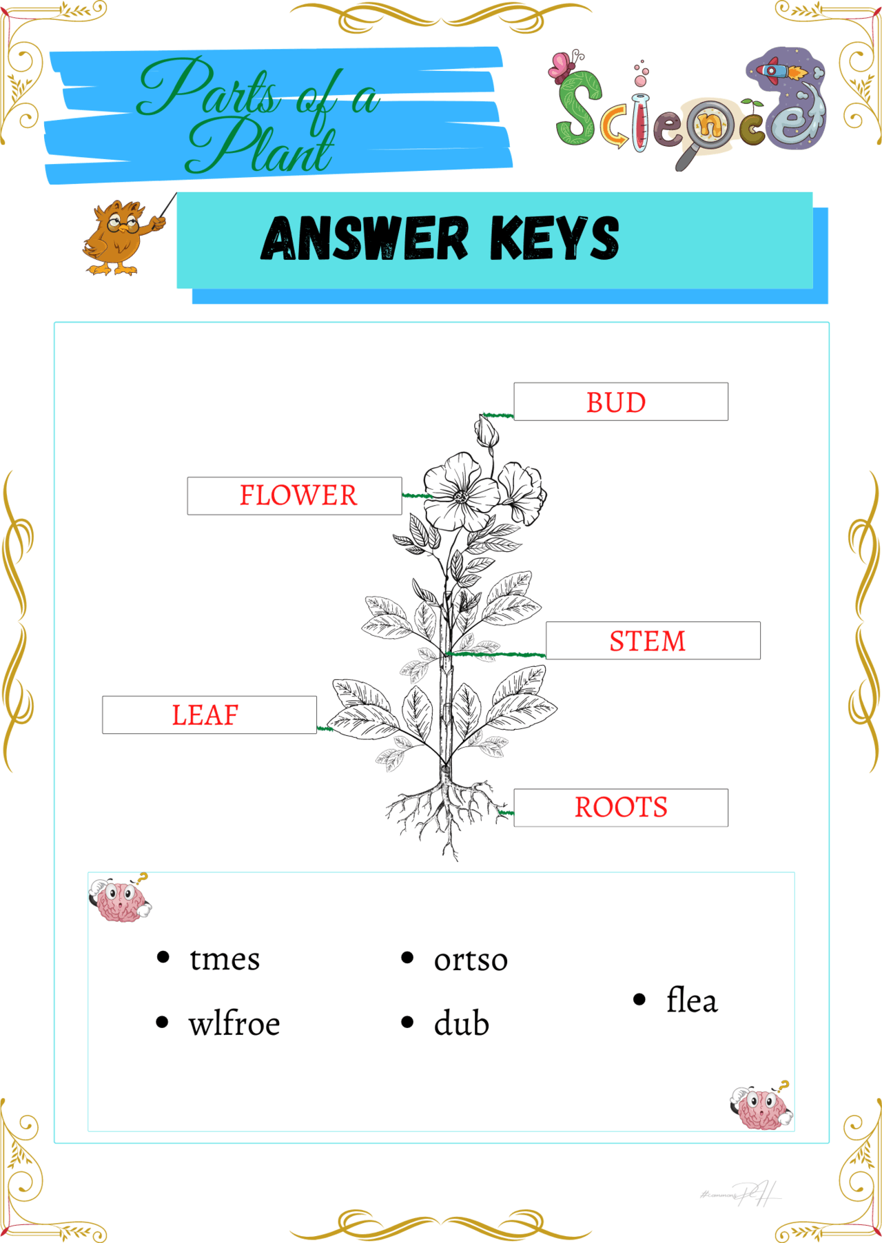 Get 85 Spring Science Worksheet 55