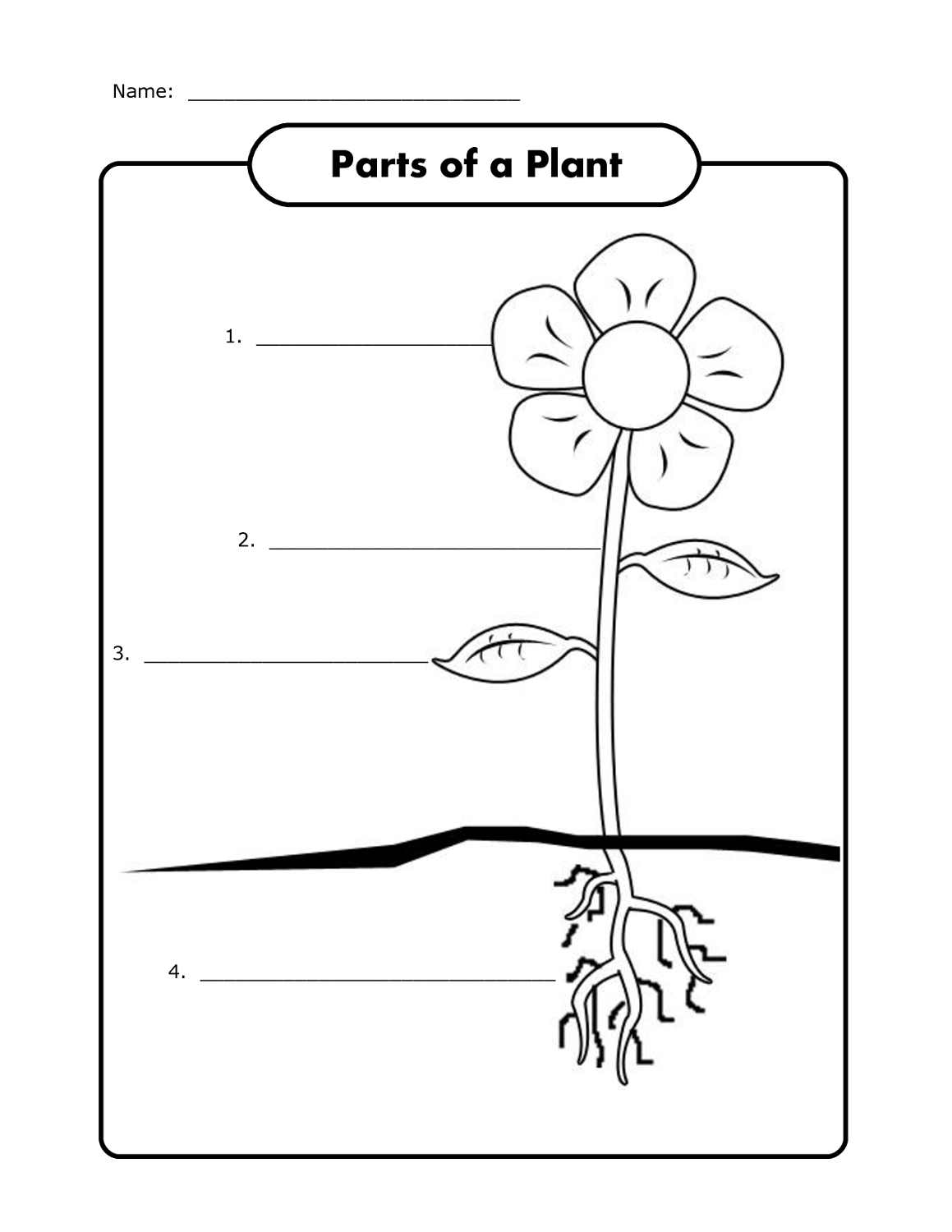 Get 85 Spring Science Worksheet 56