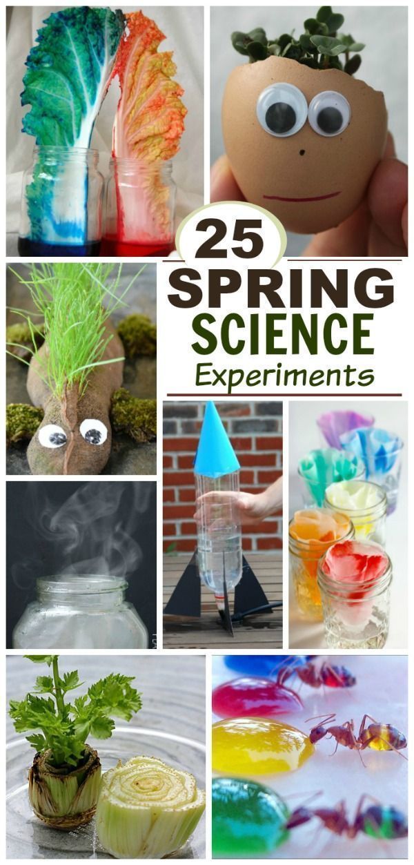 Get 85 Spring Science Worksheet 57