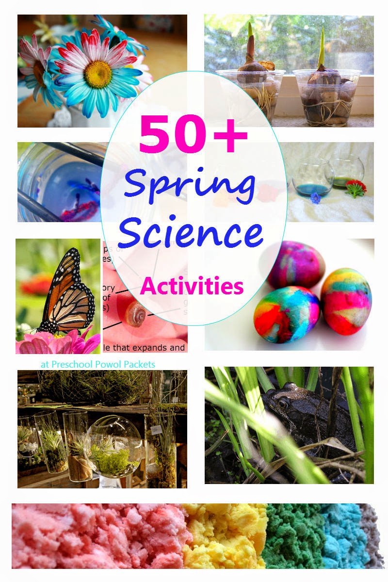 Get 85 Spring Science Worksheet 69