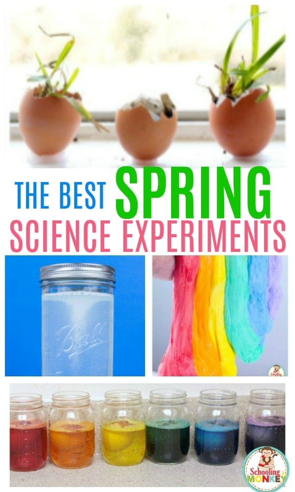 Get 85 Spring Science Worksheet 71