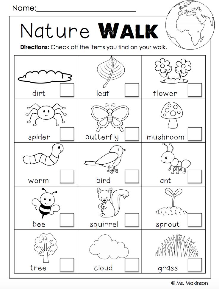 Get 85 Spring Science Worksheet 72