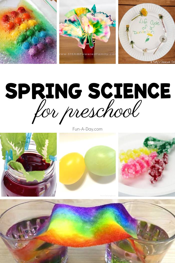 Get 85 Spring Science Worksheet 73