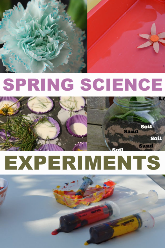 Get 85 Spring Science Worksheet 75