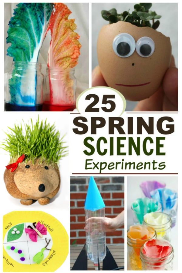 Get 85 Spring Science Worksheet 78