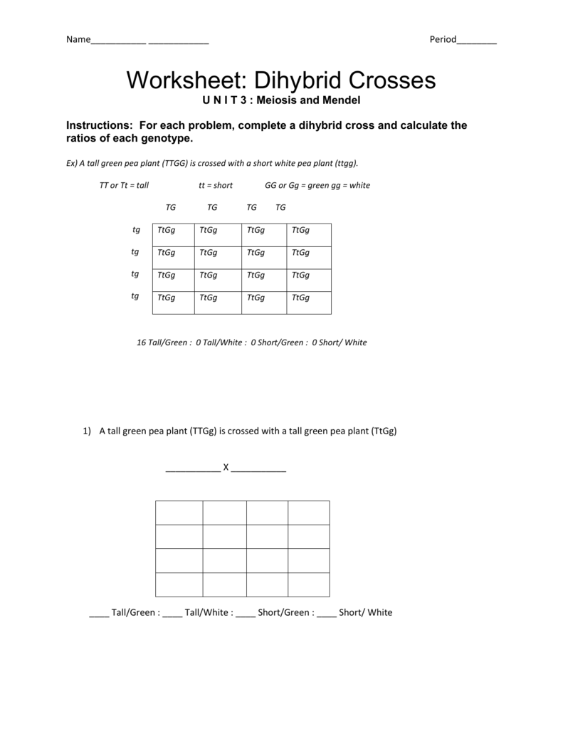 Best 45 Dihybrid Cross Worksheets Ideas 1