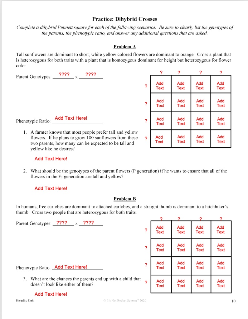 Best 45 Dihybrid Cross Worksheets Ideas 18