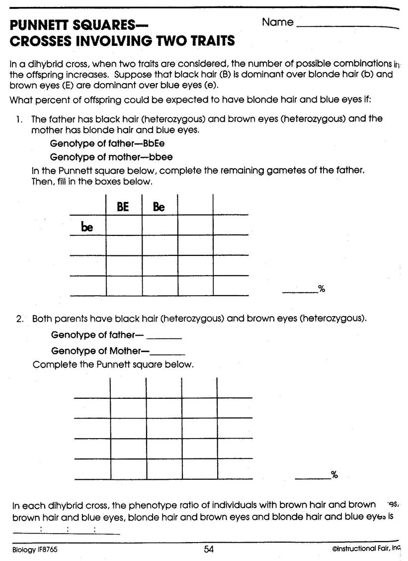 Best 45 Dihybrid Cross Worksheets Ideas 19