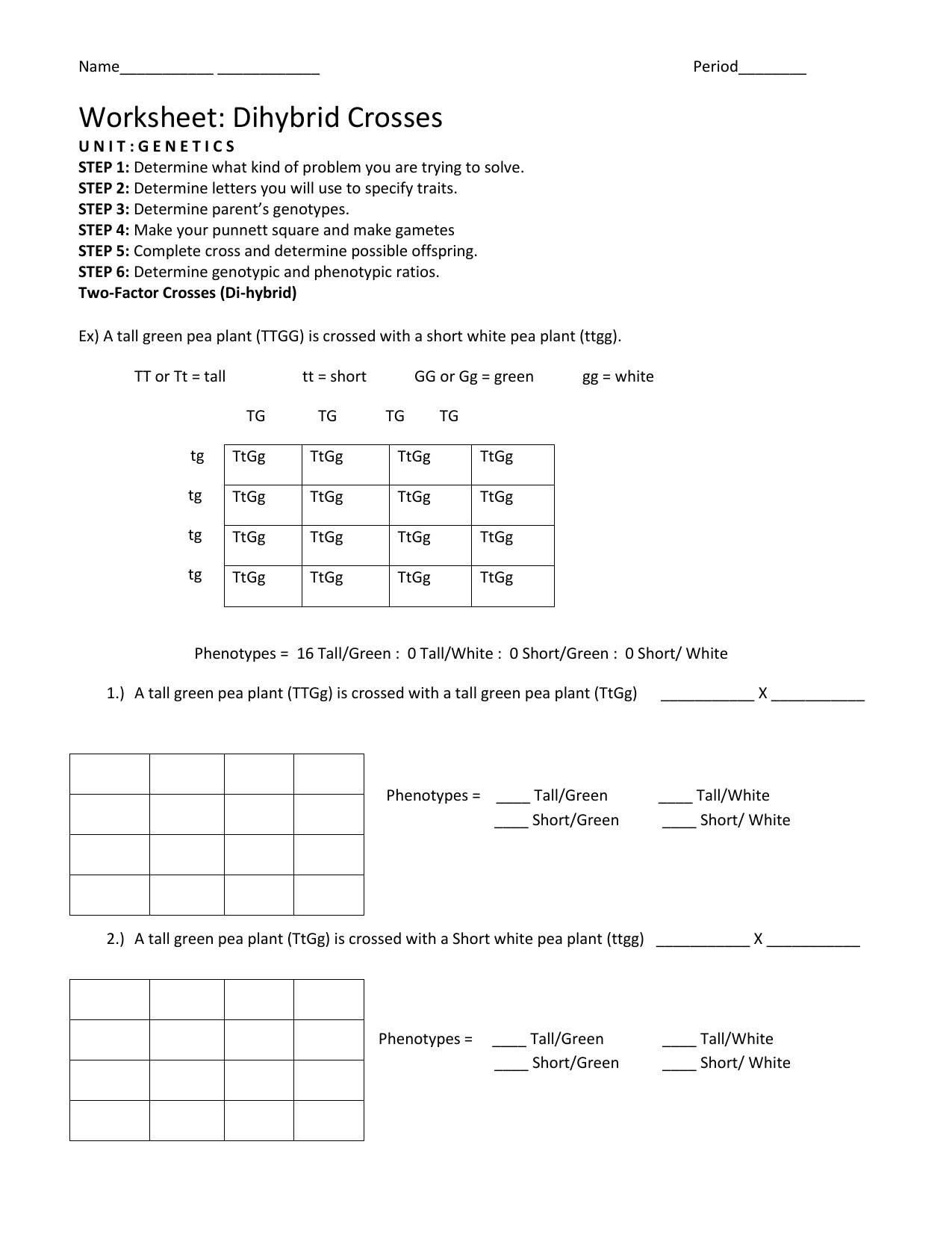 Best 45 Dihybrid Cross Worksheets Ideas 3