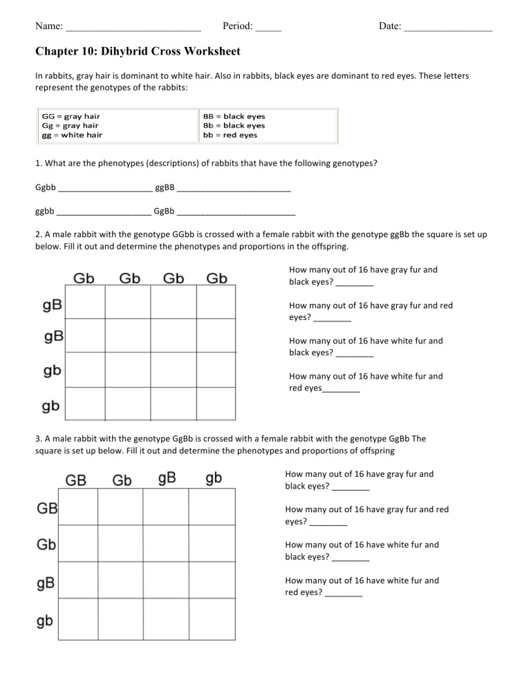 Best 45 Dihybrid Cross Worksheets Ideas 30