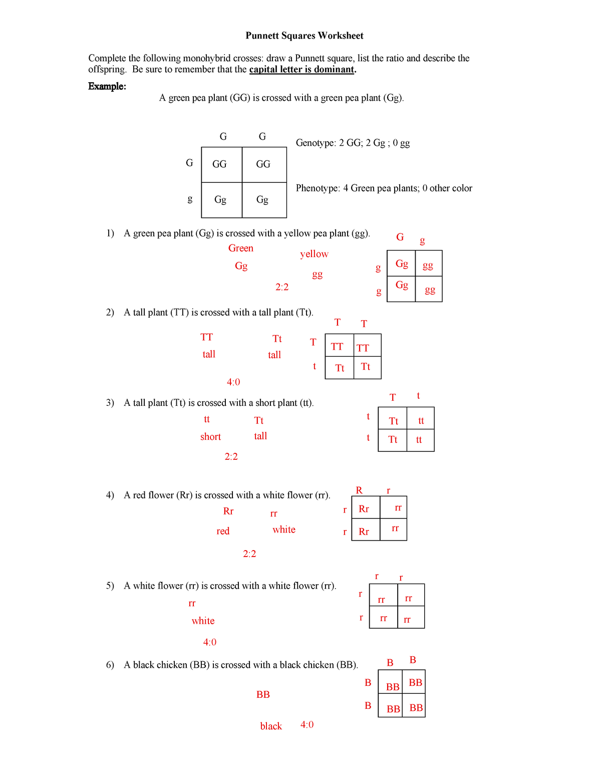 Best 45 Dihybrid Cross Worksheets Ideas 33