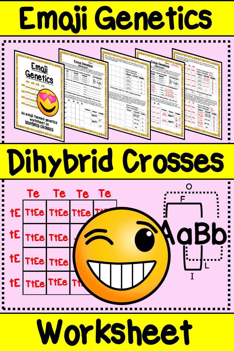 Best 45 Dihybrid Cross Worksheets Ideas 35