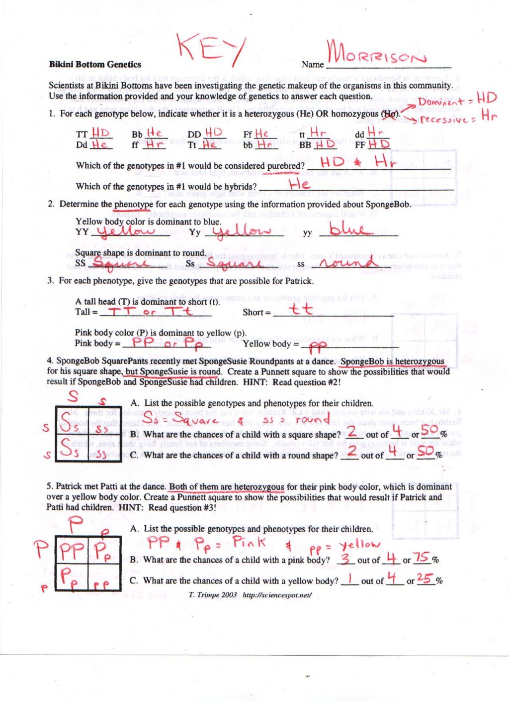 Best 45 Dihybrid Cross Worksheets Ideas 5