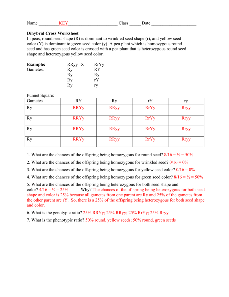 Best 45 Dihybrid Cross Worksheets Ideas 9