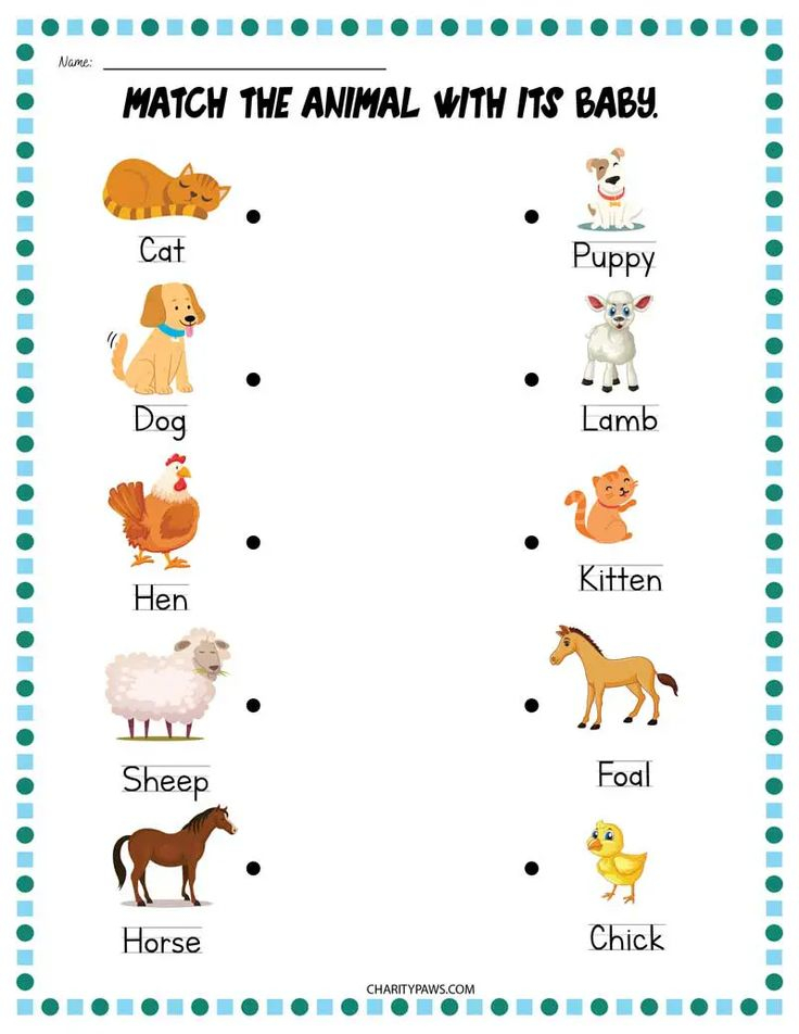 30 Baby Animals Worksheets For Kindergarten