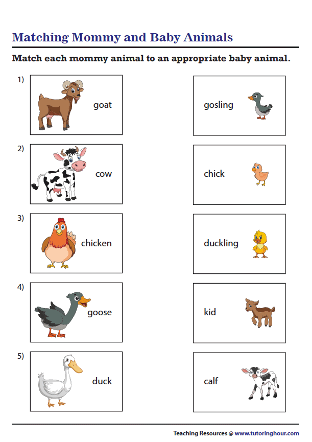 30 Baby Animals Worksheets For Kindergarten