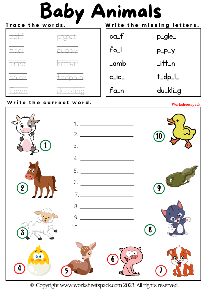 30 Baby Animals Worksheets For Kindergarten