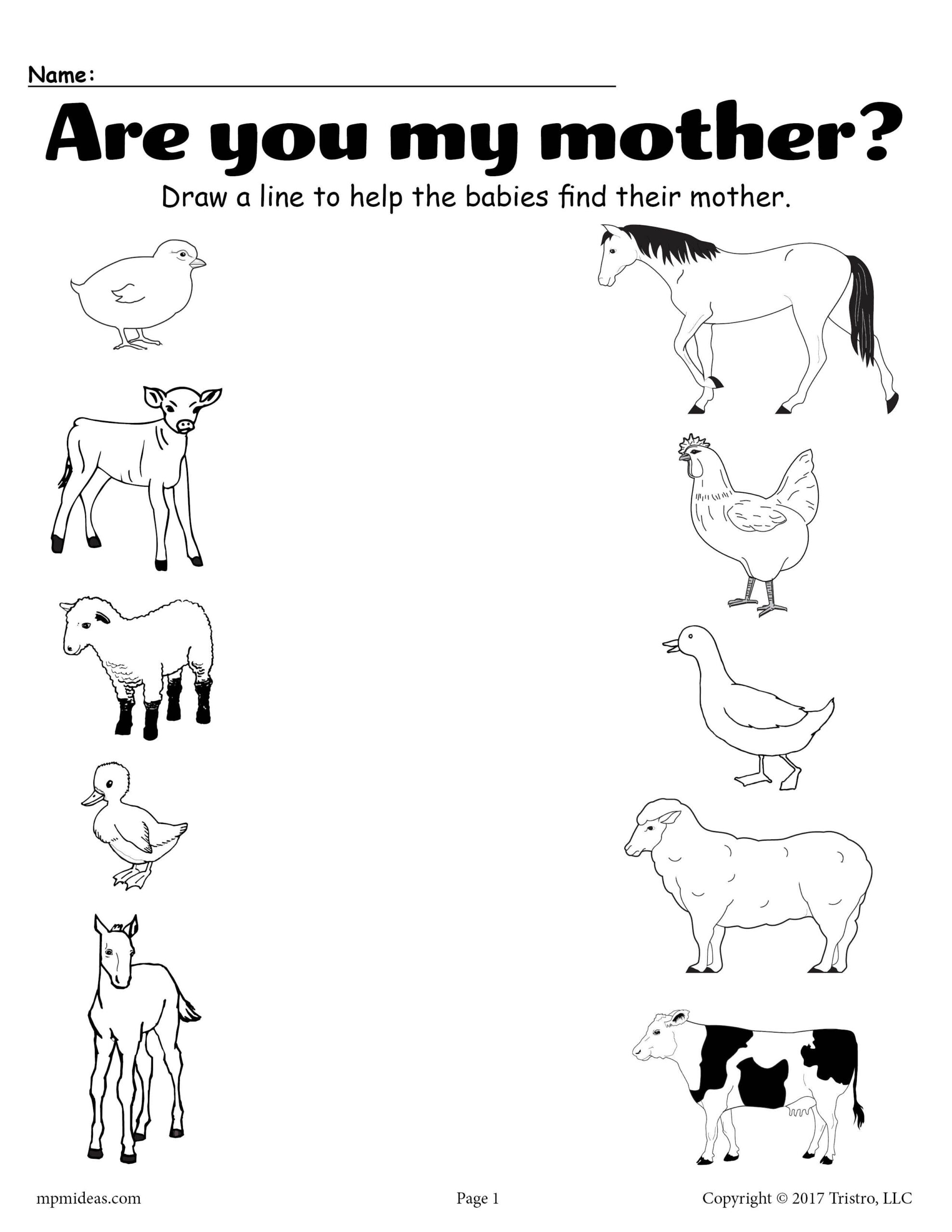 30 Baby Animals Worksheets For Kindergarten