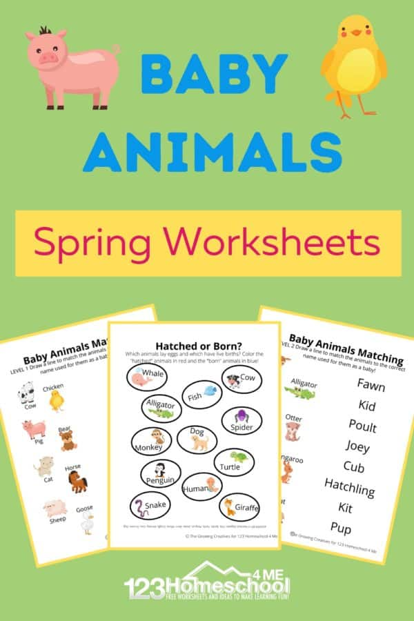 30 Baby Animals Worksheets For Kindergarten