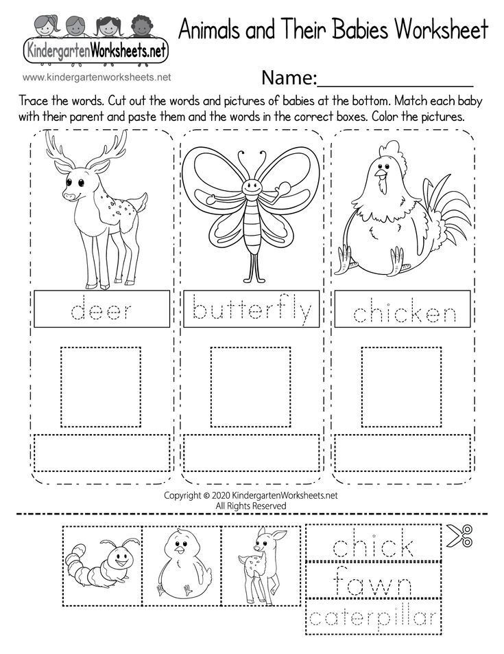 30 Baby Animals Worksheets For Kindergarten