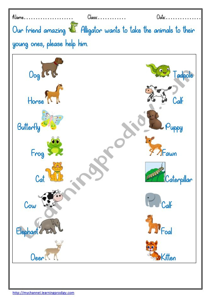 30 Baby Animals Worksheets For Kindergarten