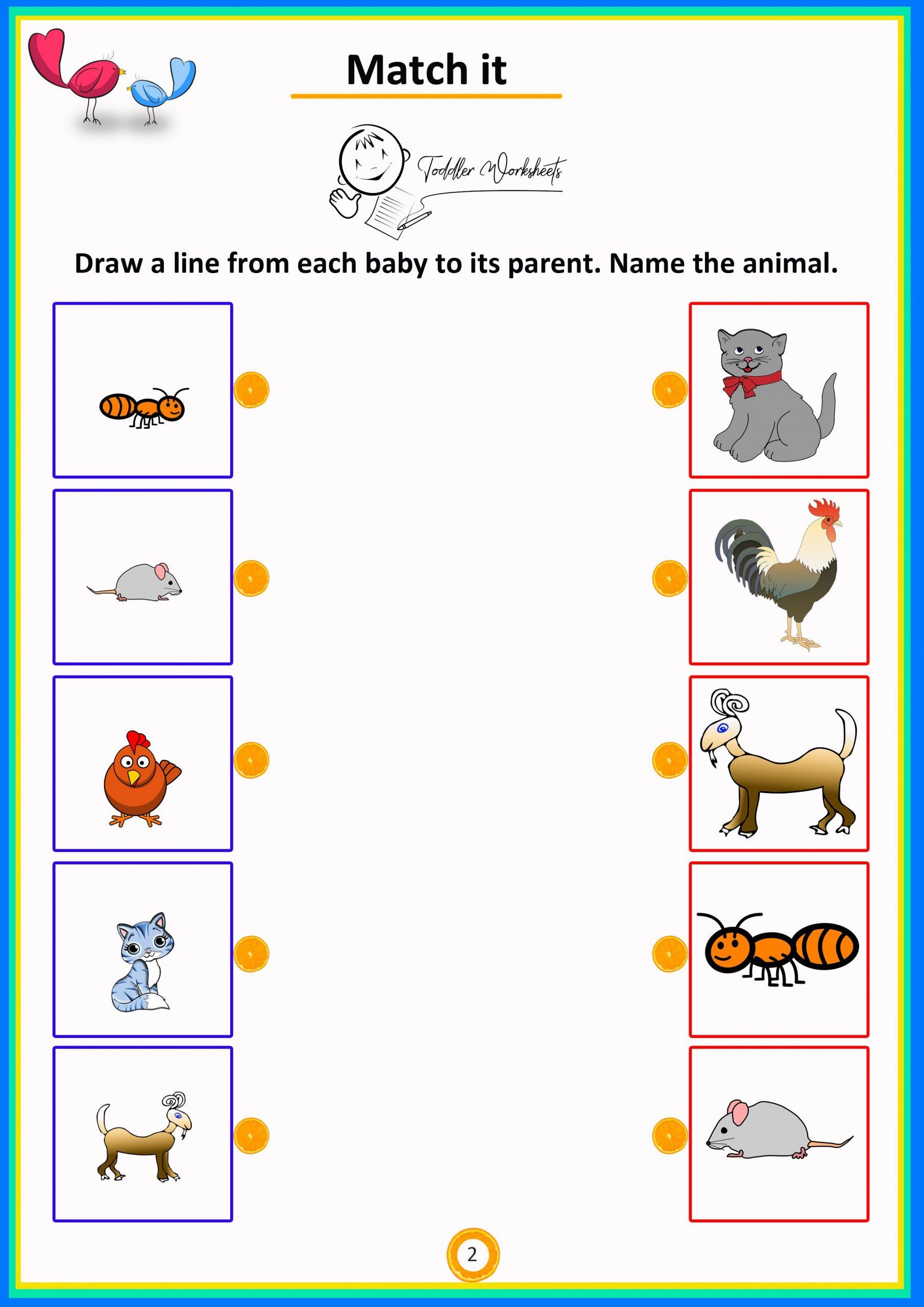 30 Baby Animals Worksheets For Kindergarten