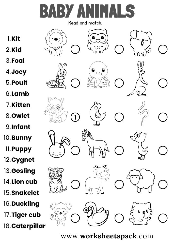 30 Baby Animals Worksheets For Kindergarten