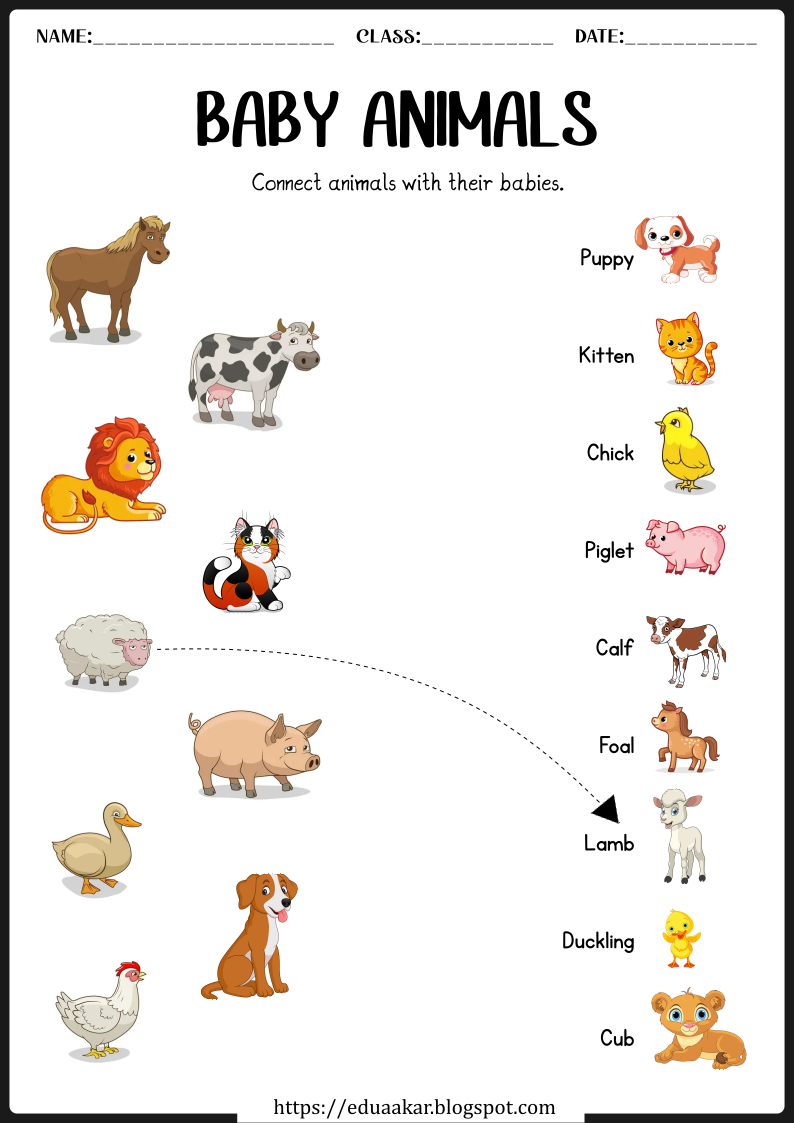 30 Baby Animals Worksheets For Kindergarten