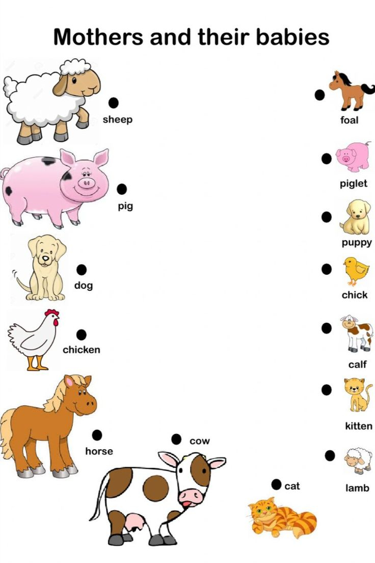 30 Baby Animals Worksheets For Kindergarten