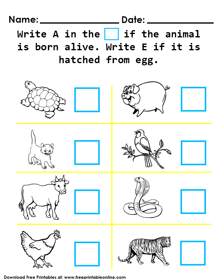 30 Baby Animals Worksheets For Kindergarten