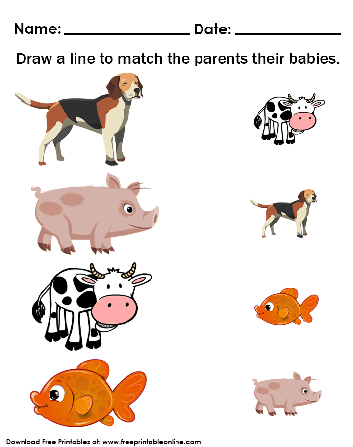 30 Baby Animals Worksheets For Kindergarten