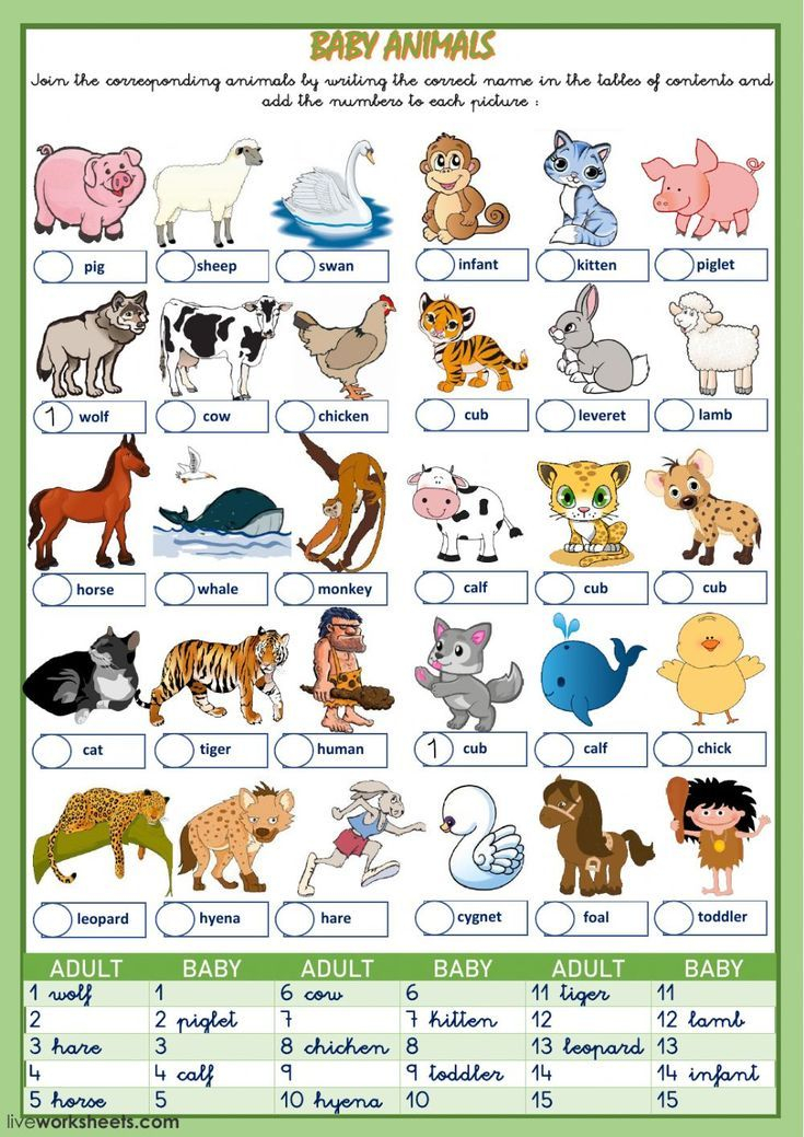 30 Baby Animals Worksheets For Kindergarten