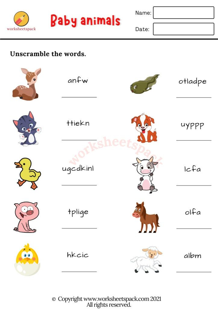 30 Baby Animals Worksheets For Kindergarten