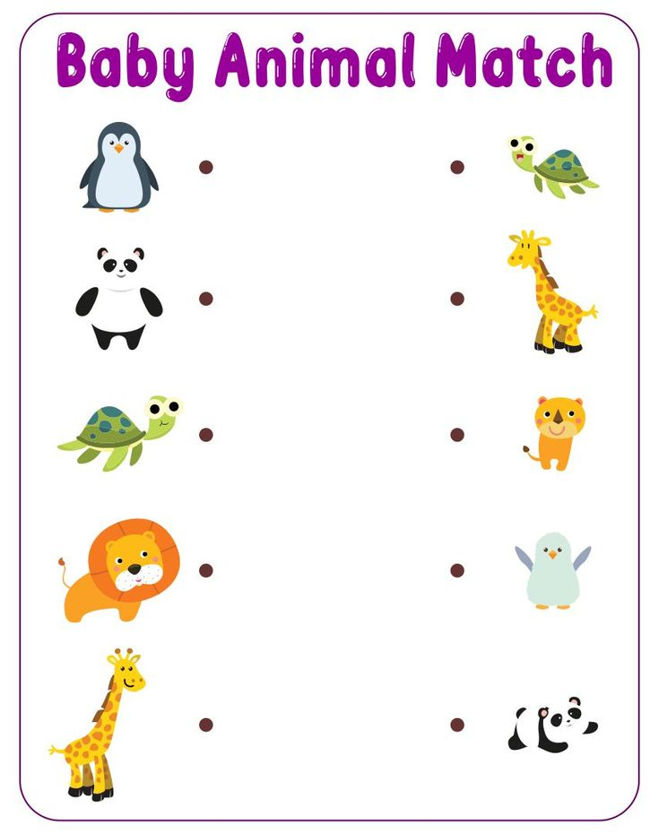 30 Baby Animals Worksheets For Kindergarten