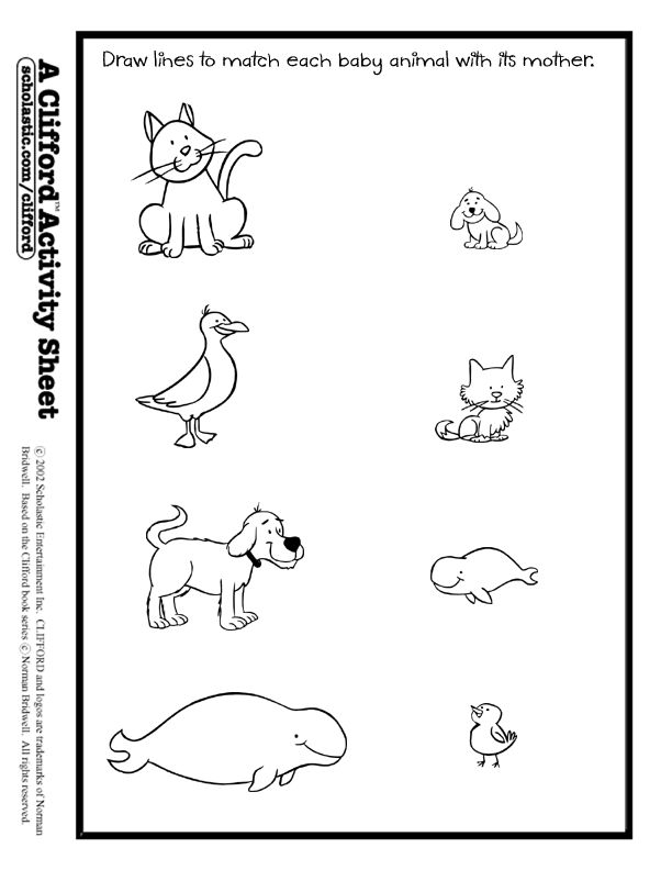 30 Baby Animals Worksheets For Kindergarten