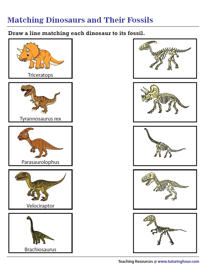 30 Dinosaurs Worksheets For Kindergarten