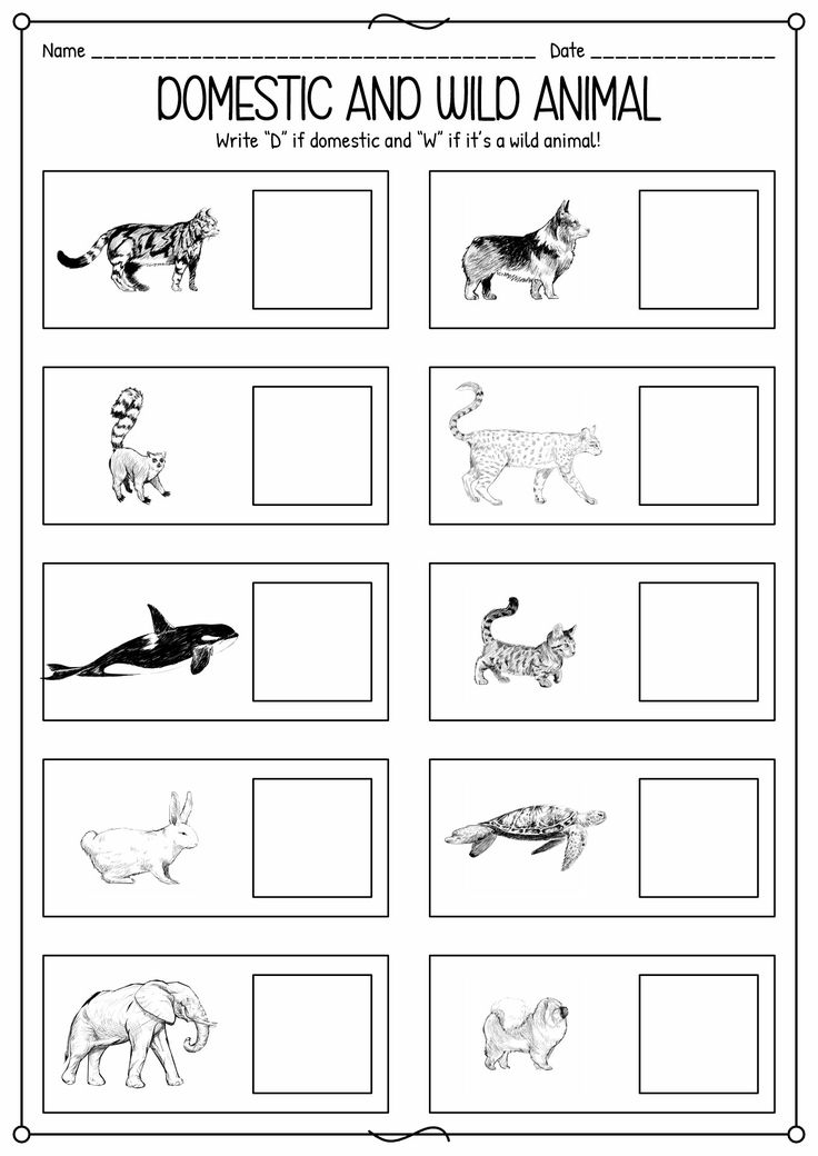 30 Domestic Animals Worksheets For Kindergarten