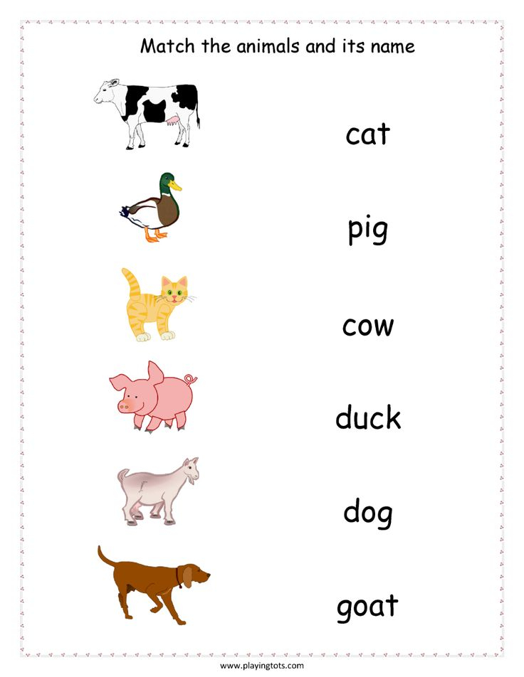 30 Domestic Animals Worksheets For Kindergarten