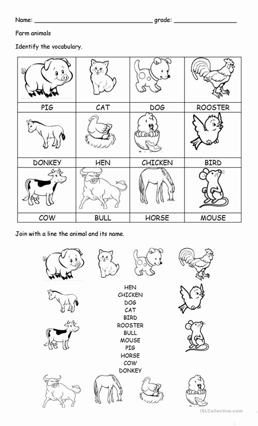 30 Domestic Animals Worksheets For Kindergarten