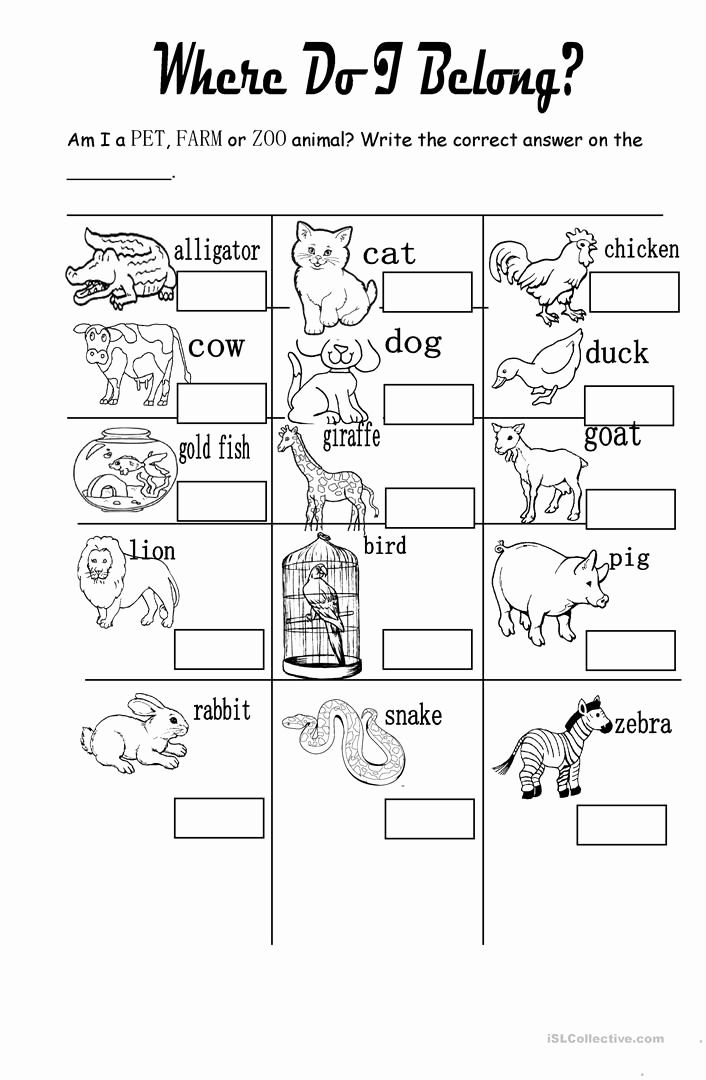 30 Domestic Animals Worksheets For Kindergarten