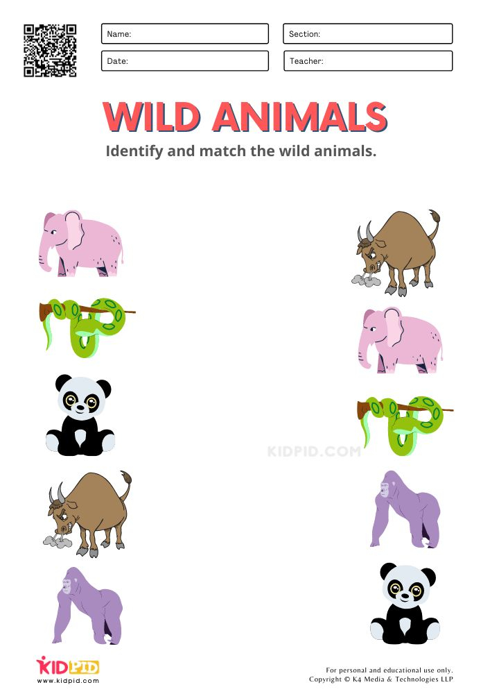 30 Domestic Animals Worksheets For Kindergarten