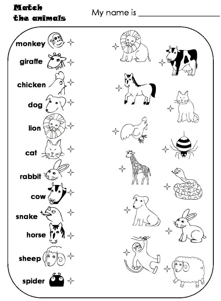 30 Domestic Animals Worksheets For Kindergarten