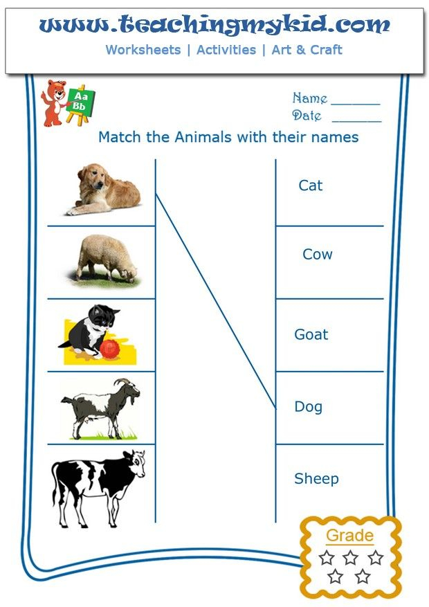 30 Domestic Animals Worksheets For Kindergarten