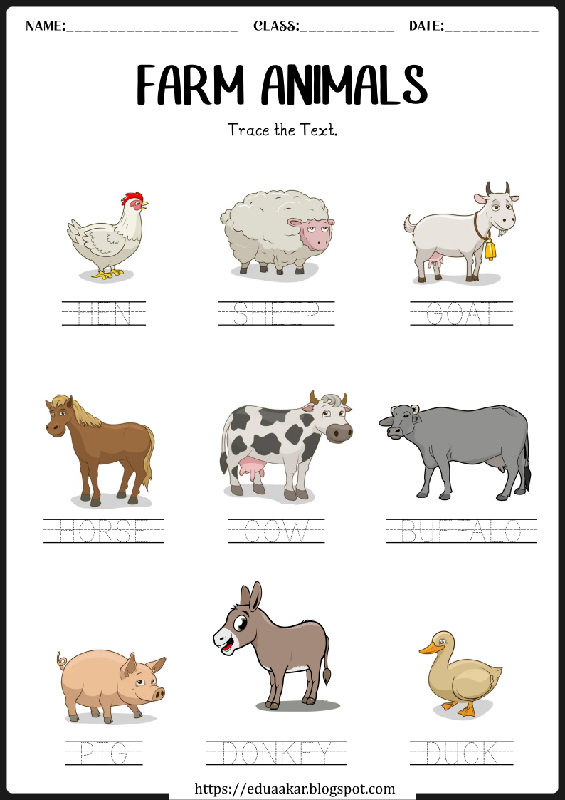 30 Domestic Animals Worksheets For Kindergarten