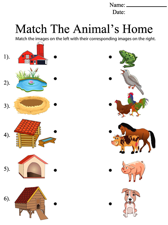 30 Domestic Animals Worksheets For Kindergarten