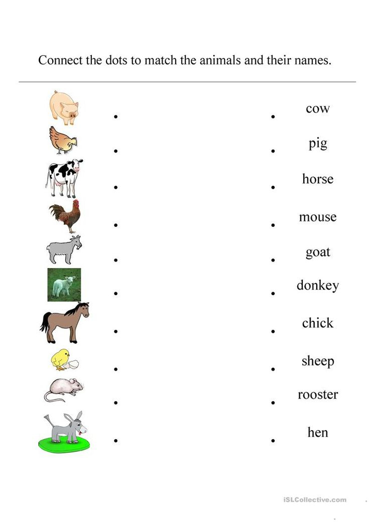 30 Domestic Animals Worksheets For Kindergarten