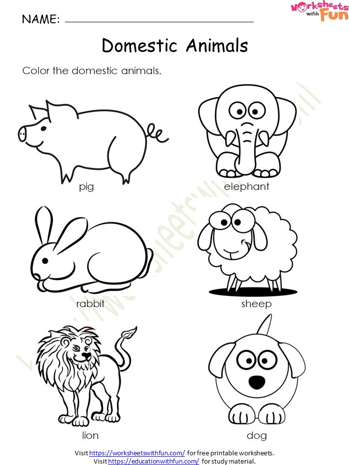 30 Domestic Animals Worksheets For Kindergarten