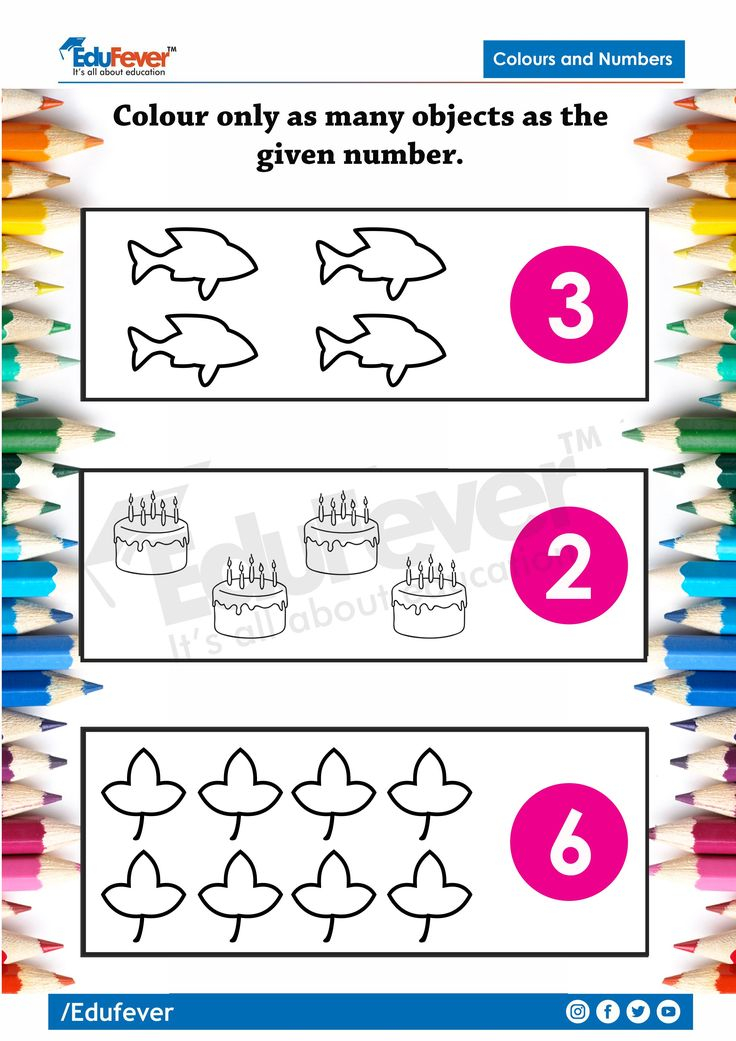 30 Lkg Worksheets Preschool Math