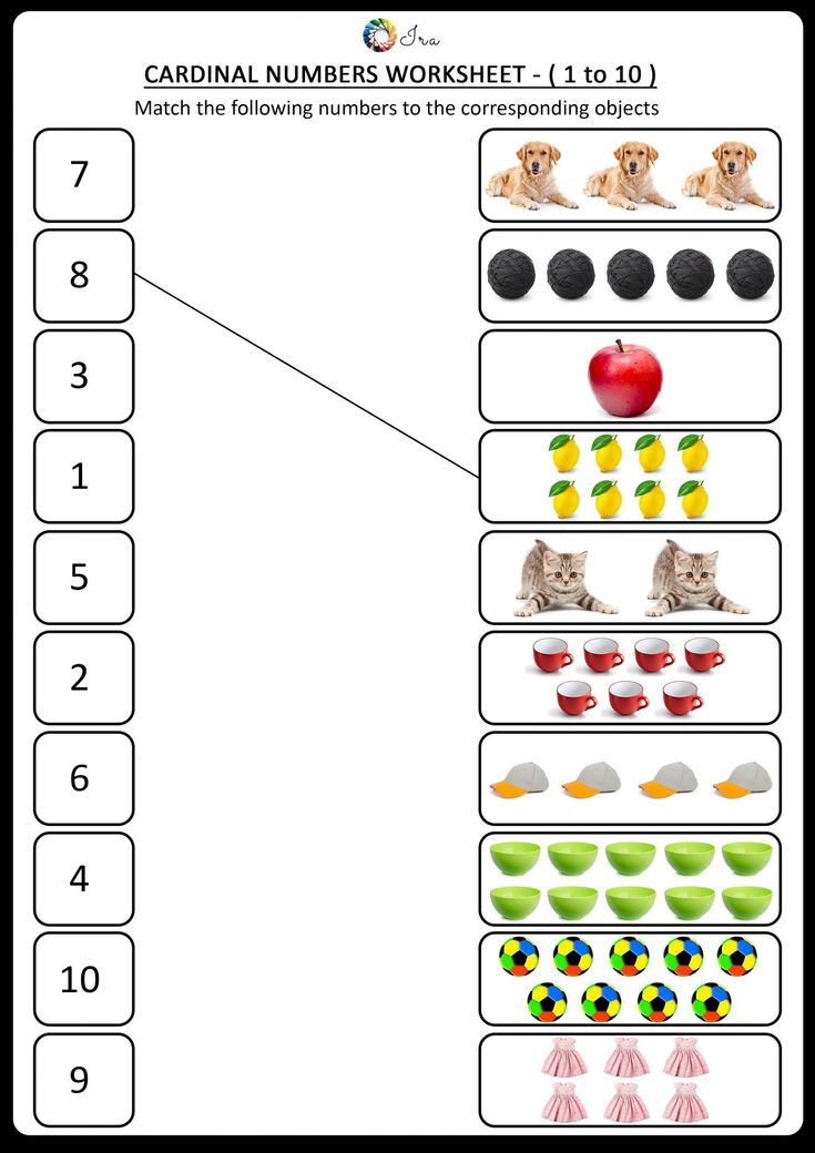 30 Lkg Worksheets Preschool Math